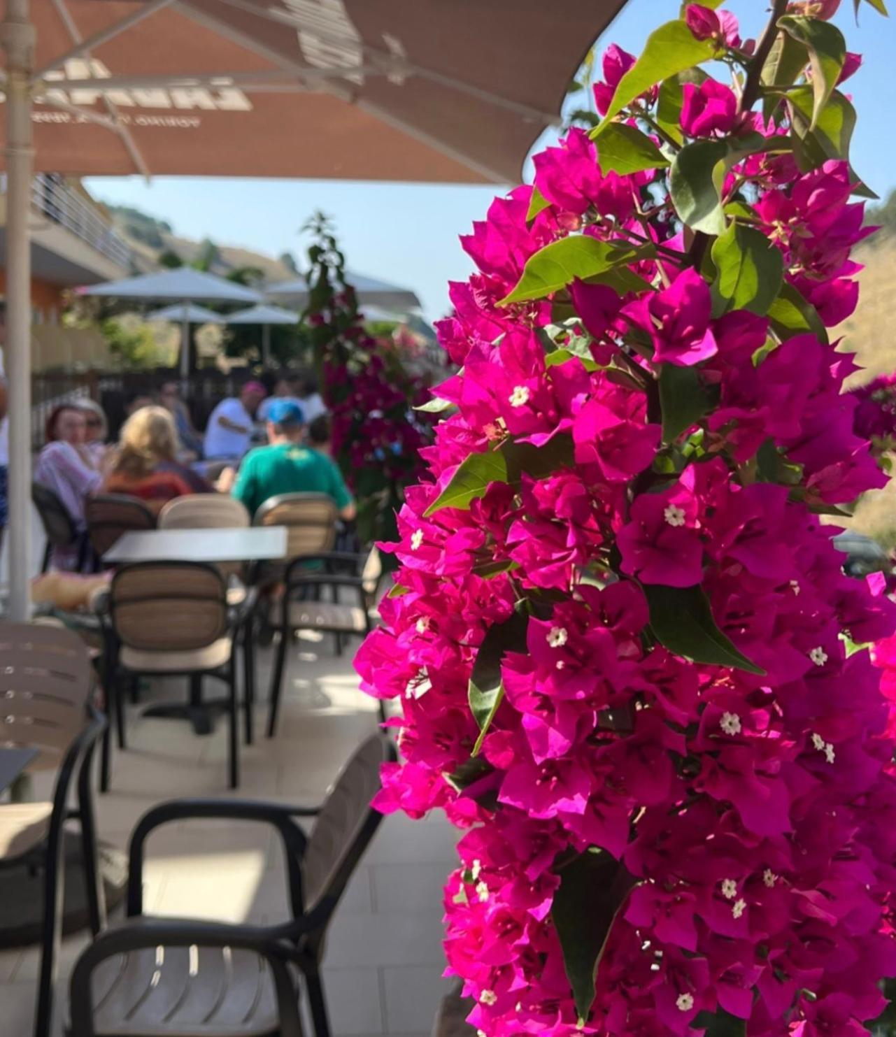 Karos Hotel Llaman Himare Bagian luar foto